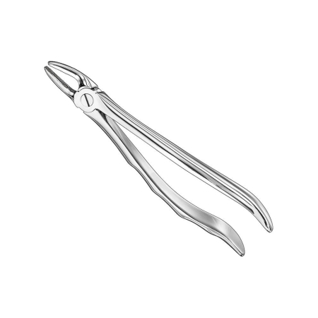 Extracting forceps, engl